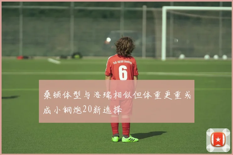 桑顿体型与洛瑞相似但体重更重或成小钢炮20新选择