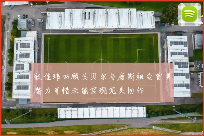 张佳玮回顾戈贝尔与唐斯组合曾具潜力可惜未能实现完美协作