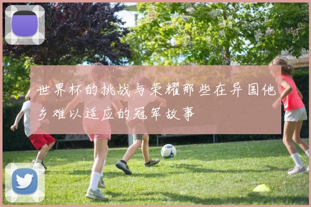 世界杯的挑战与荣耀那些在异国他乡难以适应的冠军故事