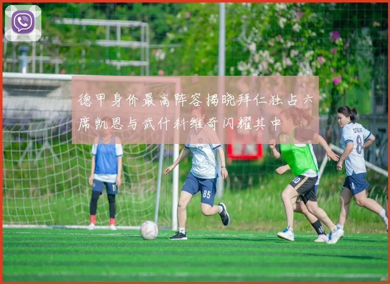 德甲身价最高阵容揭晓拜仁独占六席凯恩与武什科维奇闪耀其中